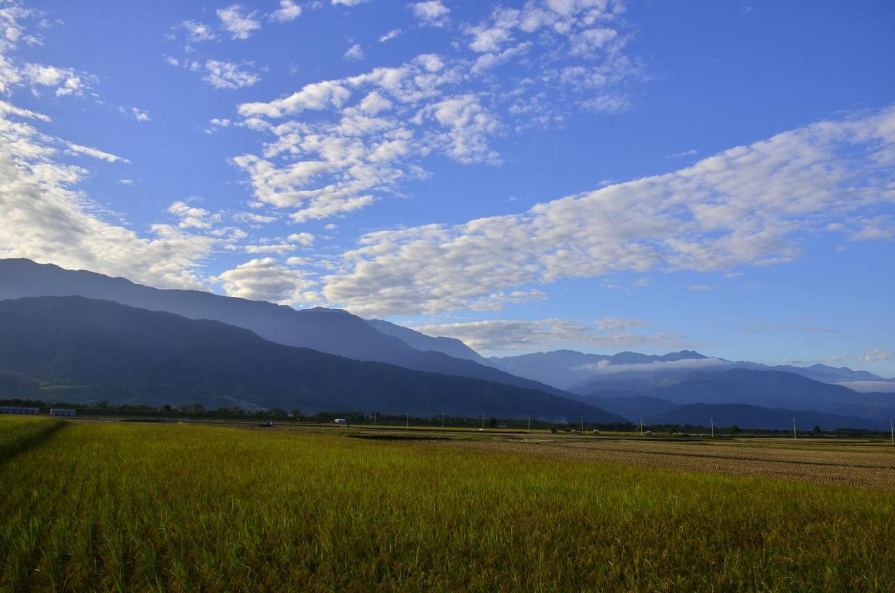 Appartement 八畝田 Bamutian Farmland 8 Mu à Yuli Extérieur photo