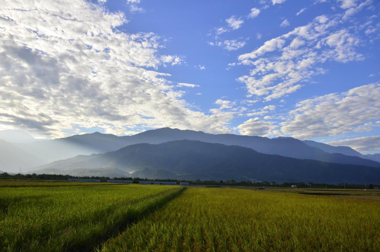 Appartement 八畝田 Bamutian Farmland 8 Mu à Yuli Extérieur photo